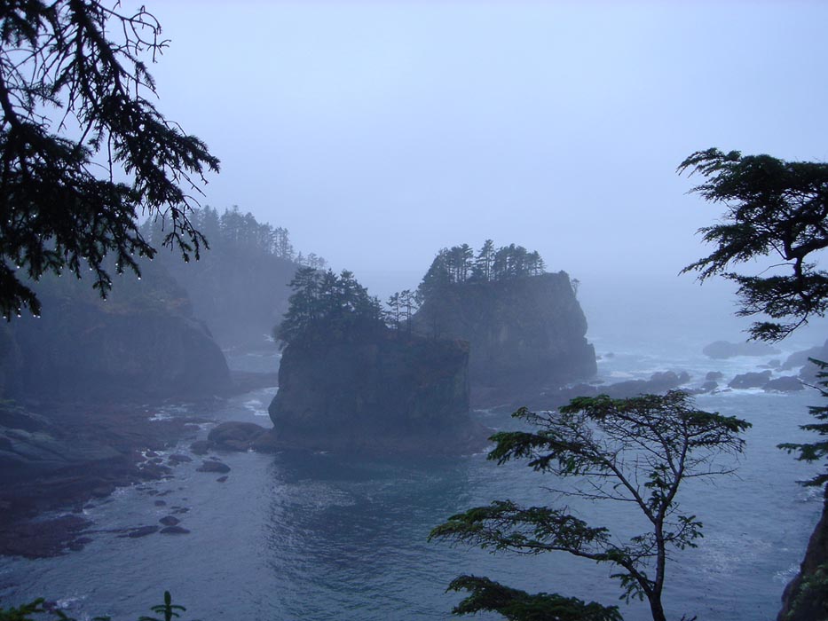 DSC03230