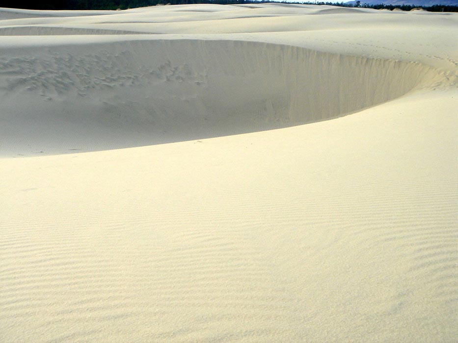 DSC03858
