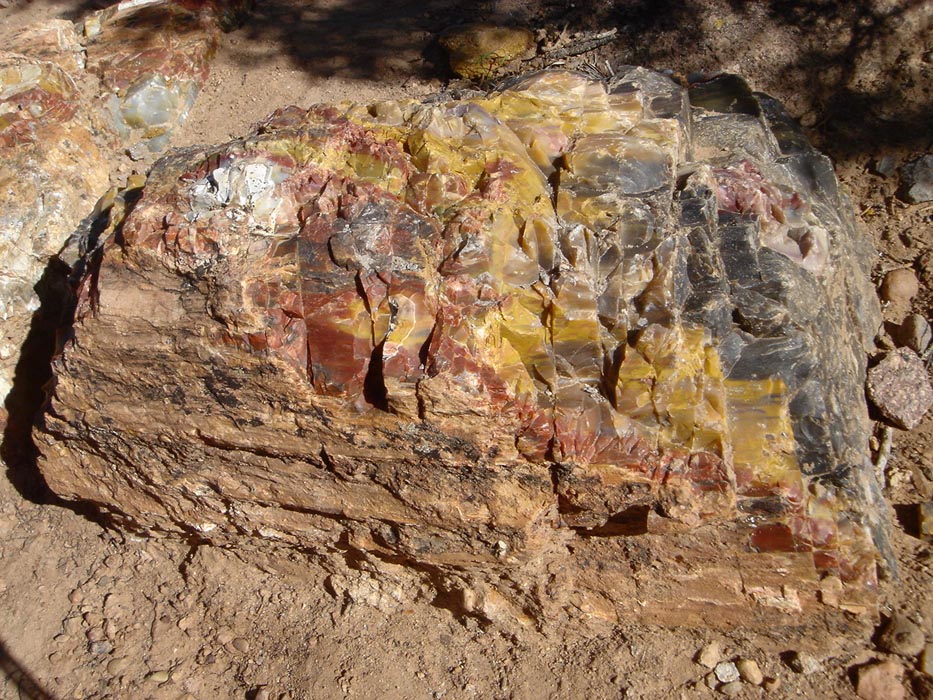 2007_08_09_calf_creek-007_DSC07895