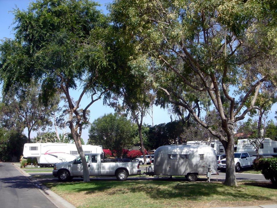 DSC06351