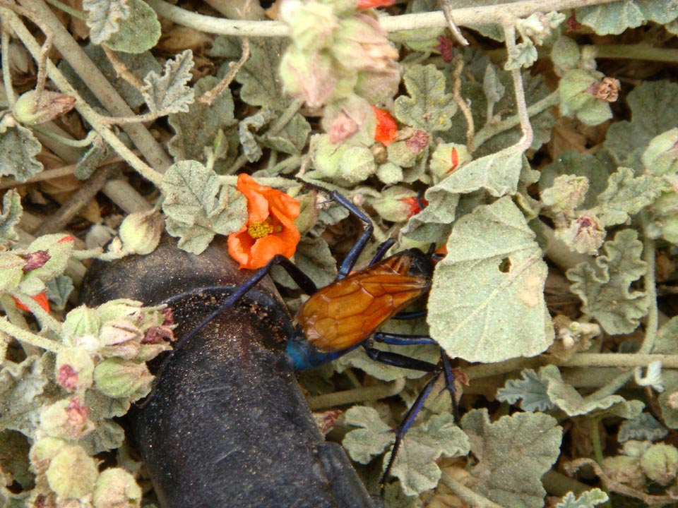DSC06475