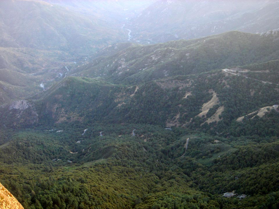 DSC06311