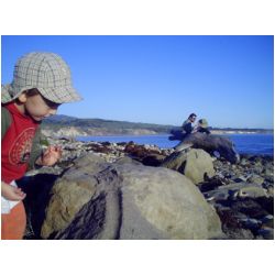 PICT0816.JPG